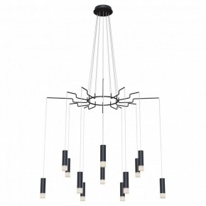 Подвесная люстра Maytoni Davida MOD035PL-12B в Шадринске - shadrinsk.mebel24.online | фото 2