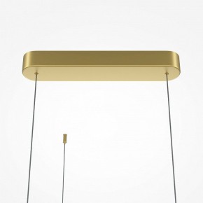 Подвесная люстра Maytoni Radiance MOD278PL-L50G3K в Шадринске - shadrinsk.mebel24.online | фото 7