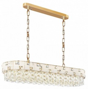 Подвесная люстра Odeon Light Chessi 5076/10 в Шадринске - shadrinsk.mebel24.online | фото 2