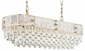 Подвесная люстра Odeon Light Fiesta 5070/14 в Шадринске - shadrinsk.mebel24.online | фото