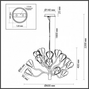 Подвесная люстра Odeon Light Gardi 5090/15 в Шадринске - shadrinsk.mebel24.online | фото 6