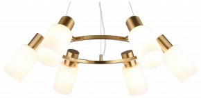 Подвесная люстра Omnilux Ales OML-69103-06 в Шадринске - shadrinsk.mebel24.online | фото