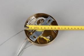 Подвесная люстра Omnilux Ales OML-69103-06 в Шадринске - shadrinsk.mebel24.online | фото 11