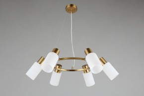Подвесная люстра Omnilux Ales OML-69103-06 в Шадринске - shadrinsk.mebel24.online | фото 5