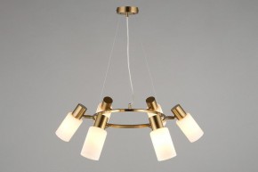 Подвесная люстра Omnilux Ales OML-69103-06 в Шадринске - shadrinsk.mebel24.online | фото 6