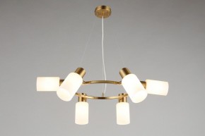 Подвесная люстра Omnilux Ales OML-69103-06 в Шадринске - shadrinsk.mebel24.online | фото 7