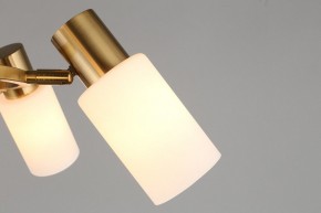 Подвесная люстра Omnilux Ales OML-69103-06 в Шадринске - shadrinsk.mebel24.online | фото 9