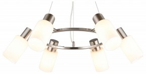 Подвесная люстра Omnilux Ales OML-69113-06 в Шадринске - shadrinsk.mebel24.online | фото 2