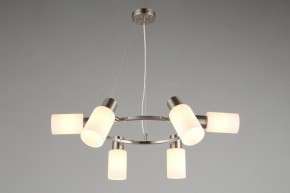 Подвесная люстра Omnilux Ales OML-69113-06 в Шадринске - shadrinsk.mebel24.online | фото 7