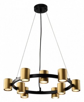 Подвесная люстра Rivoli Chloe Б0057929 в Шадринске - shadrinsk.mebel24.online | фото 2