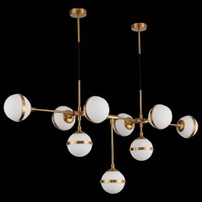 Подвесная люстра ST-Luce Arbe SL1157.303.09 в Шадринске - shadrinsk.mebel24.online | фото 4
