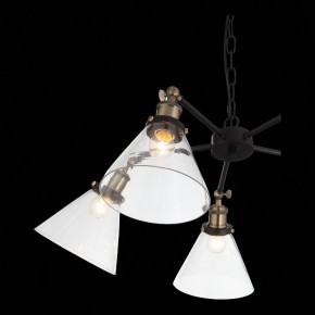 Подвесная люстра ST-Luce Evoluto SL237.413.05 в Шадринске - shadrinsk.mebel24.online | фото 7