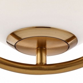 Подвесной светильник Arte Lamp Matisse A7746SP-1AB в Шадринске - shadrinsk.mebel24.online | фото 5