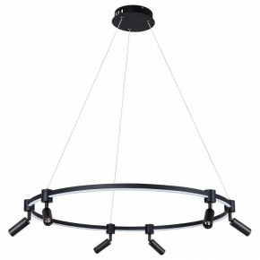 Подвесной светильник Arte Lamp Ring A2186SP-1BK в Шадринске - shadrinsk.mebel24.online | фото 2