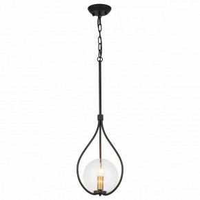 Подвесной светильник Favourite Kessel 1905-1P в Шадринске - shadrinsk.mebel24.online | фото 2