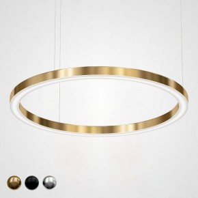 Подвесной светильник Imperiumloft Light Ring Horizontal 40.1454-120 в Шадринске - shadrinsk.mebel24.online | фото 1