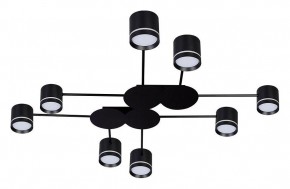 Потолочная люстра Arte Lamp Legacy A8024PL-8BK в Шадринске - shadrinsk.mebel24.online | фото