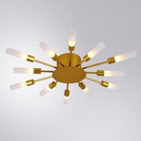 Потолочная люстра Arte Lamp Maple A1276PL-12GO в Шадринске - shadrinsk.mebel24.online | фото 1