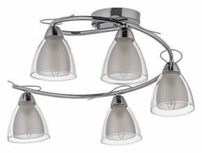 Потолочная люстра Arti Lampadari Paola, Tavenna Nickel Paola E 1.1.5 N в Шадринске - shadrinsk.mebel24.online | фото