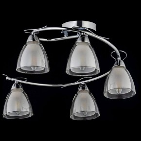 Потолочная люстра Arti Lampadari Paola, Tavenna Nickel Paola E 1.1.5 N в Шадринске - shadrinsk.mebel24.online | фото 2
