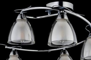 Потолочная люстра Arti Lampadari Paola, Tavenna Nickel Paola E 1.1.5 N в Шадринске - shadrinsk.mebel24.online | фото 4