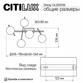 Потолочная люстра Citilux Dorsy CL223152 в Шадринске - shadrinsk.mebel24.online | фото 10