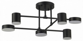 Потолочная люстра EVOLUCE Nobel SLE201042-06 в Шадринске - shadrinsk.mebel24.online | фото 11