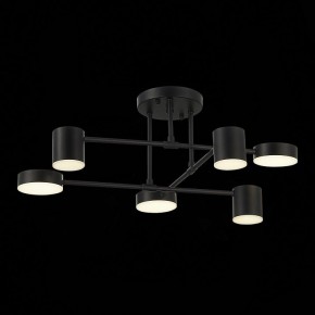 Потолочная люстра EVOLUCE Nobel SLE201042-06 в Шадринске - shadrinsk.mebel24.online | фото 13