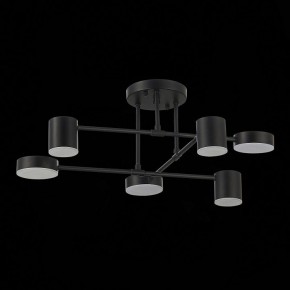 Потолочная люстра EVOLUCE Nobel SLE201042-06 в Шадринске - shadrinsk.mebel24.online | фото 14