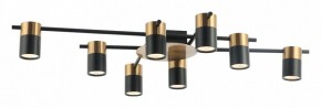 Потолочная люстра Favourite Topper 2825-8P в Шадринске - shadrinsk.mebel24.online | фото 2