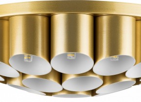 Потолочная люстра Lightstar Siena 720222 в Шадринске - shadrinsk.mebel24.online | фото 3