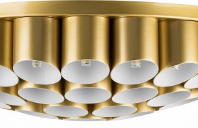 Потолочная люстра Lightstar Siena 720402 в Шадринске - shadrinsk.mebel24.online | фото 3