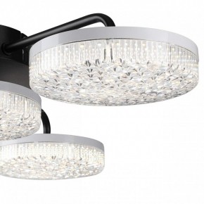 Потолочная люстра Lumion Didana 8236/4CL в Шадринске - shadrinsk.mebel24.online | фото 7