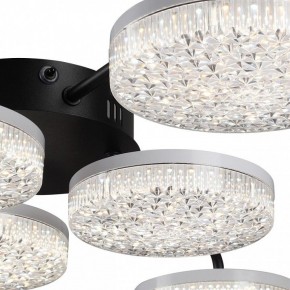 Потолочная люстра Lumion Didana 8236/6CL в Шадринске - shadrinsk.mebel24.online | фото 9