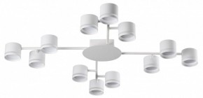 Потолочная люстра Lumion Gareta 8235/12C в Шадринске - shadrinsk.mebel24.online | фото