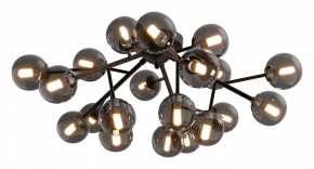 Потолочная люстра Maytoni Dallas MOD545CL-20B в Шадринске - shadrinsk.mebel24.online | фото 2