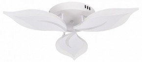 Потолочная люстра Natali Kovaltseva Sirius LED LAMPS 81164 в Шадринске - shadrinsk.mebel24.online | фото