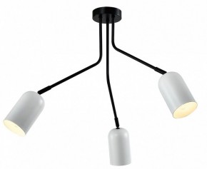 Потолочная люстра Rivoli Rosalinda Б0064987 в Шадринске - shadrinsk.mebel24.online | фото 2
