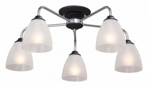 Потолочная люстра Vitaluce  V3946-1/5PL в Шадринске - shadrinsk.mebel24.online | фото