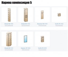 Прихожая Карина (модульная) в Шадринске - shadrinsk.mebel24.online | фото 2