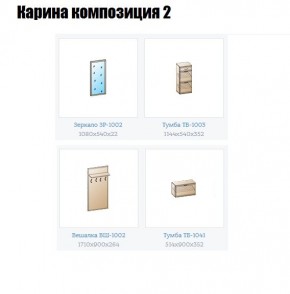 Прихожая Карина (модульная) в Шадринске - shadrinsk.mebel24.online | фото 6
