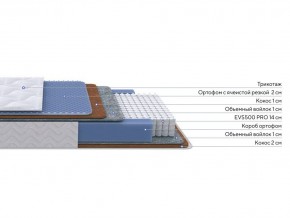 PROxSON Матрас Active Duo M/F (Ткань Трикотаж Эко) 200x200 в Шадринске - shadrinsk.mebel24.online | фото 2