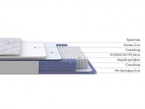 PROxSON Матрас Active Duo S/F (Ткань Трикотаж Эко) 180x195 в Шадринске - shadrinsk.mebel24.online | фото 2