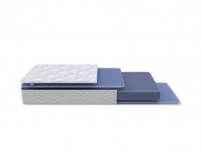 PROxSON Матрас Active Flex M (Ткань Трикотаж Эко) 160x190 в Шадринске - shadrinsk.mebel24.online | фото 1