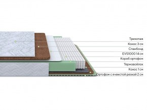 PROxSON Матрас Green Duo M/F (Tricotage Dream) 80x200 в Шадринске - shadrinsk.mebel24.online | фото 1