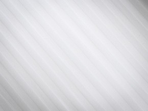 PROxSON Подушка Terra Ergo (Страйп сатин) 40x60 в Шадринске - shadrinsk.mebel24.online | фото 8