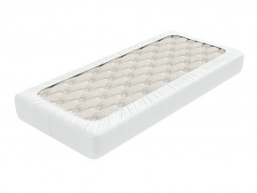 PROxSON Защитный чехол Aqua Save Light M (Ткань влагостойкая Tencel Jersey) 90x200 в Шадринске - shadrinsk.mebel24.online | фото 2