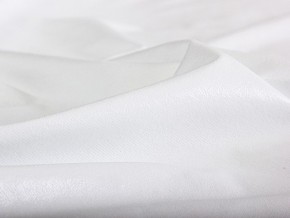 PROxSON Защитный чехол Aqua Stop Plush (Ткань влагостойкая Coral Fleece) 120x190 в Шадринске - shadrinsk.mebel24.online | фото 5