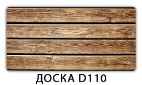 Раздвижной трансформер Трилогия с фотопечатью Доска D110 в Шадринске - shadrinsk.mebel24.online | фото 4