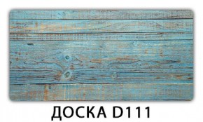 Раздвижной трансформер Трилогия с фотопечатью Доска D110 в Шадринске - shadrinsk.mebel24.online | фото 5